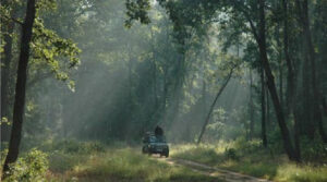कॉर्बेट टाइगर रिजर्व में ‘ऑपरेशन मानसून’ शुरू, ड्रोन और हाथियों से कड़ी निगरानी