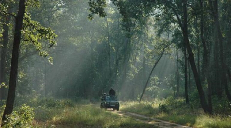 कॉर्बेट टाइगर रिजर्व में ‘ऑपरेशन मानसून’ शुरू, ड्रोन और हाथियों से कड़ी निगरानी